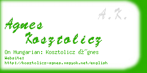 agnes kosztolicz business card